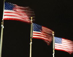 American_Flags